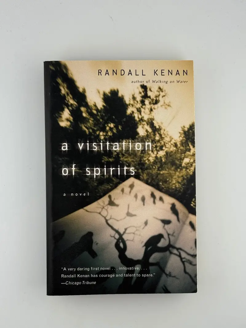 A Visitation Of Spirits – Southern Gothic Novel By Randall Kenan 1