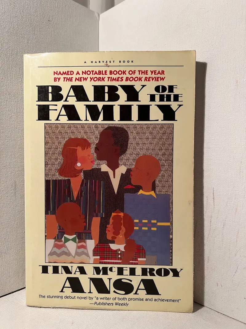 Baby Of The Family: Southern Coming-Of-Age Novel By Tina Mcelroy Ansa 1