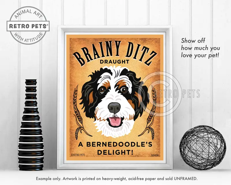 Bernedoodle Illustration – 'Brainy Ditz Draught' Art Print By Krista Brooks 1