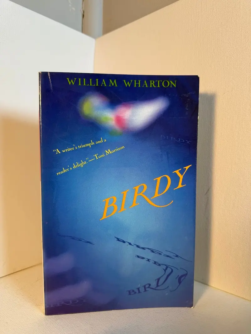 Birdy: A Novel Of Trauma And Transformation By William Wharton 1