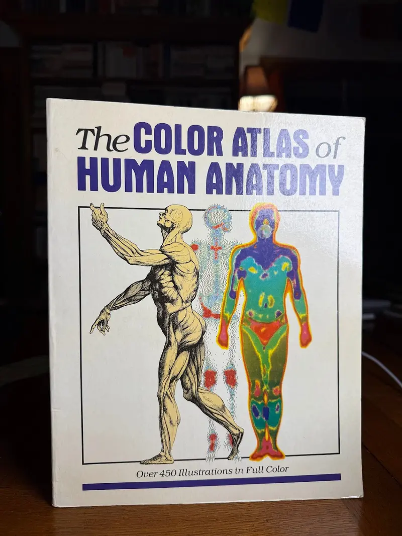 Color Atlas Of Human Anatomy: A Visual Reference Guide 1