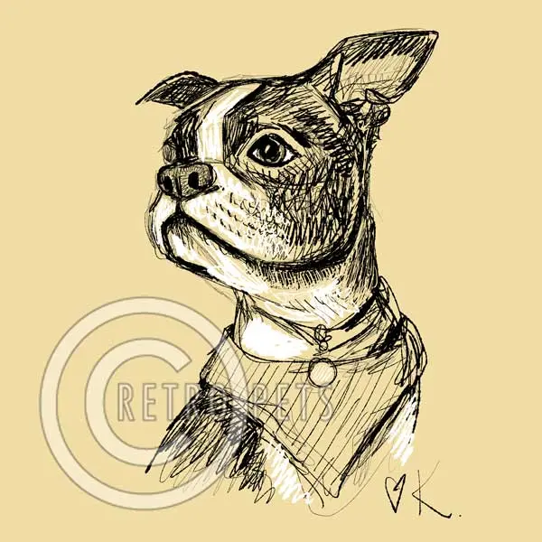 Custom Pet Portrait Printables: Hand-Drawn Pen-And-Ink Digital Art For Your Pet 1
