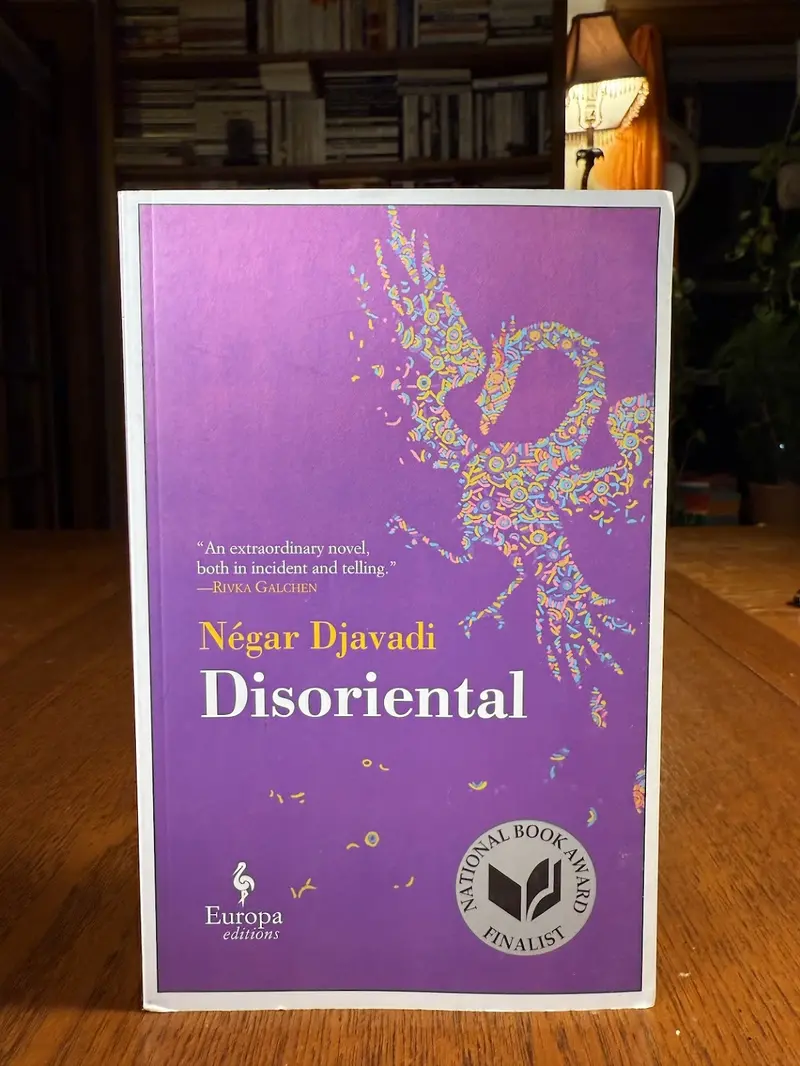 Disoriental By Négar Djavadi — A Multigenerational Iranian Family Saga 1