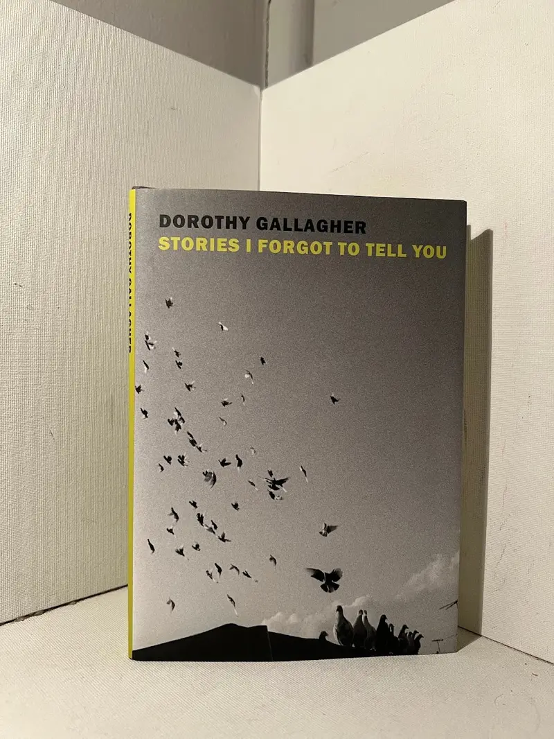 Dorothy Gallagher'S 'Stories I Forgot To Tell You' – Intimate Essays On Family, Memory, And Loss 1