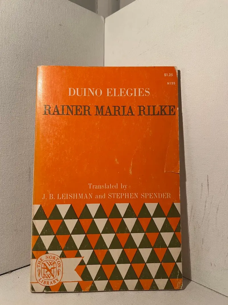 Duino Elegies: Translated And Annotated Rilke Masterpiece 1