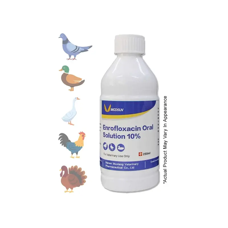 Enrofloxacin 10% Solution (Baytril Equivalent) – 100 Ml Bird Antibiotic 1