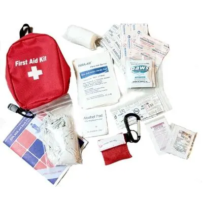 Everyday Carry (Edc) First Aid Kit 1