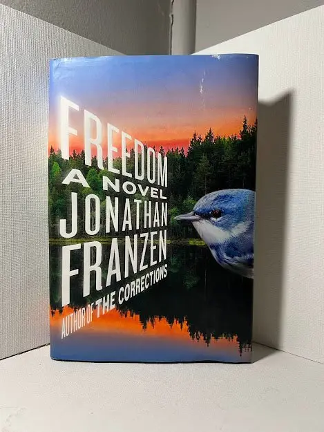 Jonathan Franzen'S Freedom: A Literary Novel On Personal Liberty And Modern Life 1