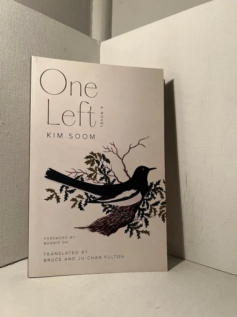 Kim Soom'S One Left: A Contemporary Korean Novel 1