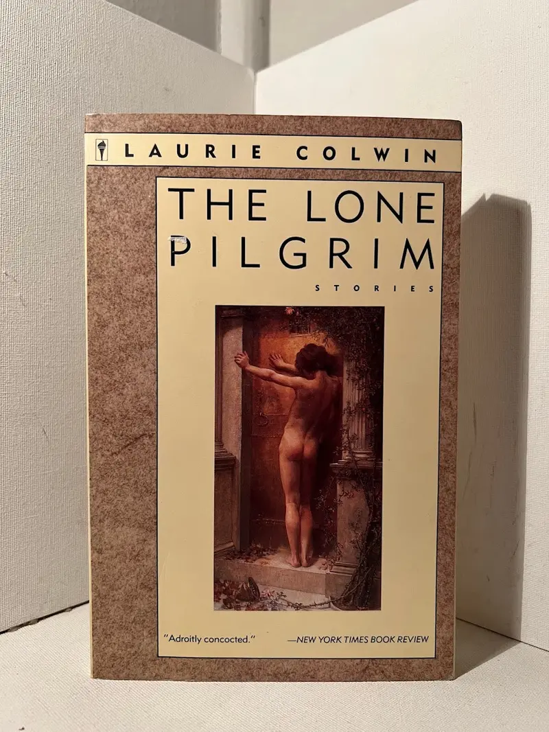 Laurie Colwin'S Contemplative Novel: The Lone Pilgrim 1