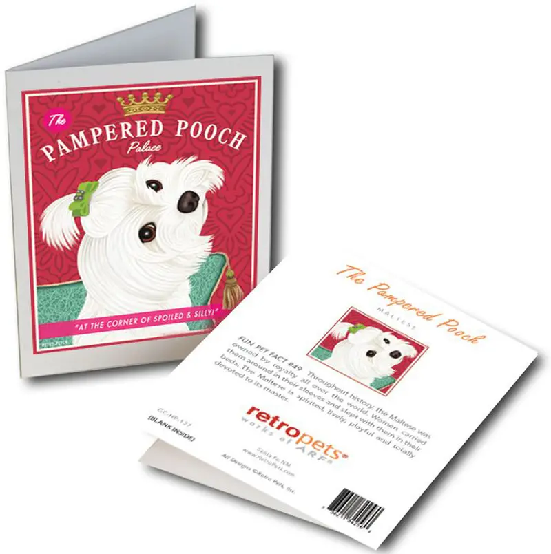 Maltese Dog Card Collection: 'Pampered Pooch' By Krista Brooks – 6-Pack 1