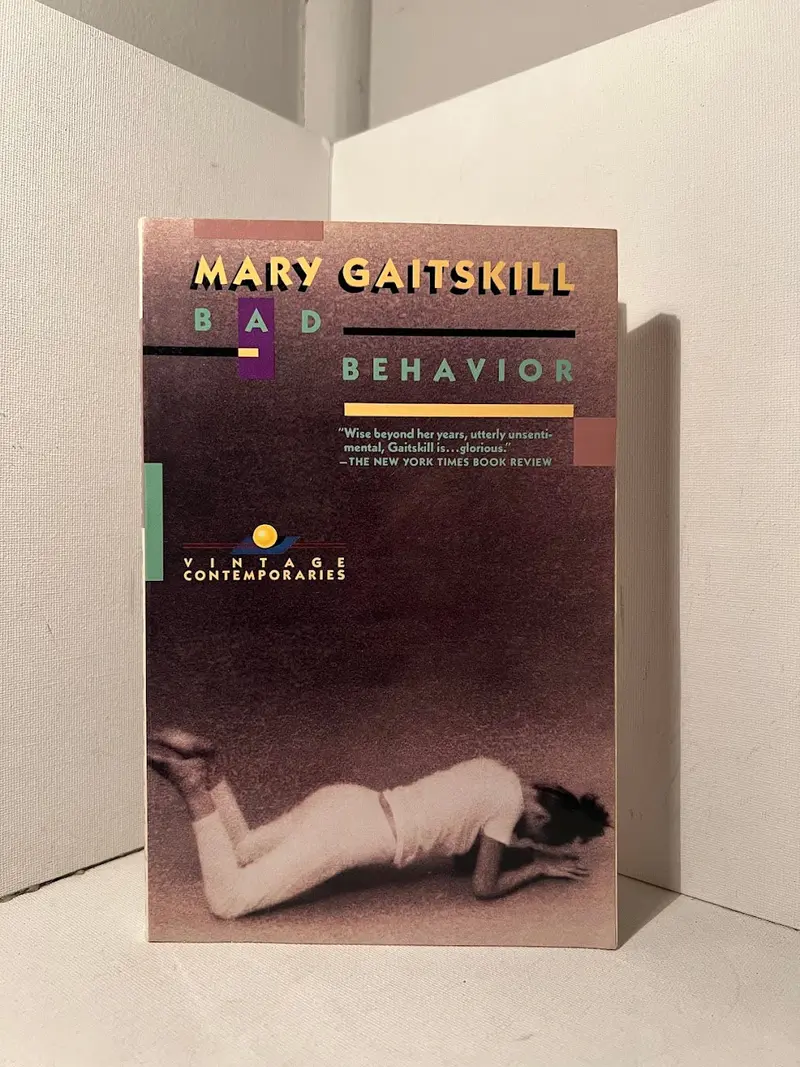 Mary Gaitskill'S Bad Behavior: A Short Story Collection 1