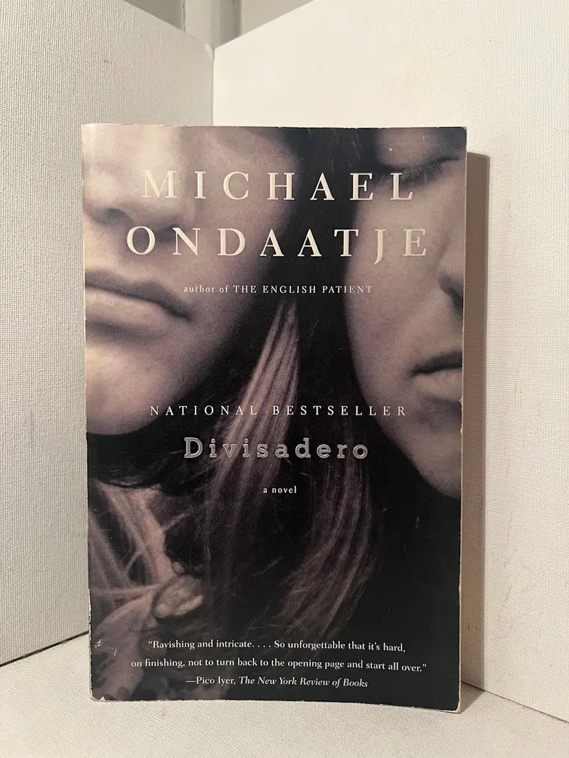 Michael Ondaatje'S Divisadero: Lyrical, Multi-Generational Novel Spanning California And France 1