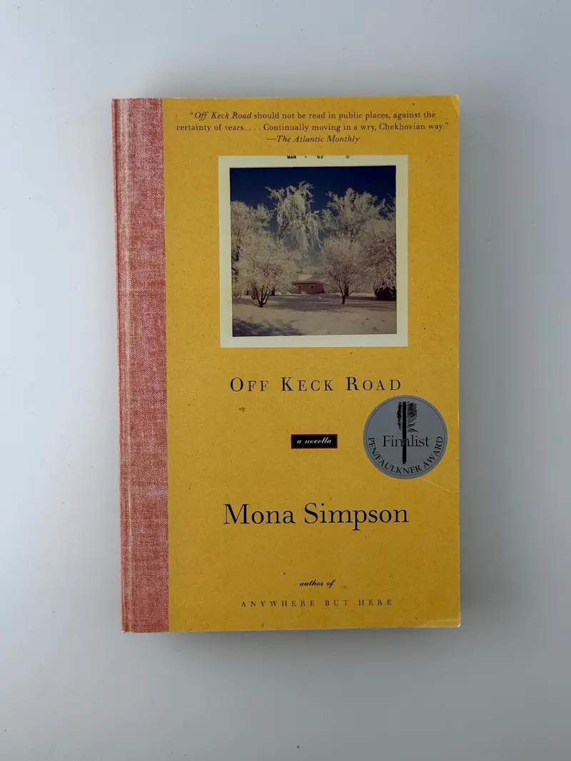 Mona Simpson'S Intimate Portrait Of Midwestern Life And Resilience 1