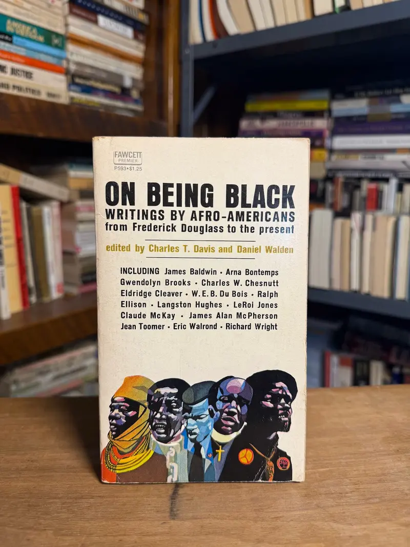 On Being Black: Afro-American Writings Edited By Davis And Walden 1