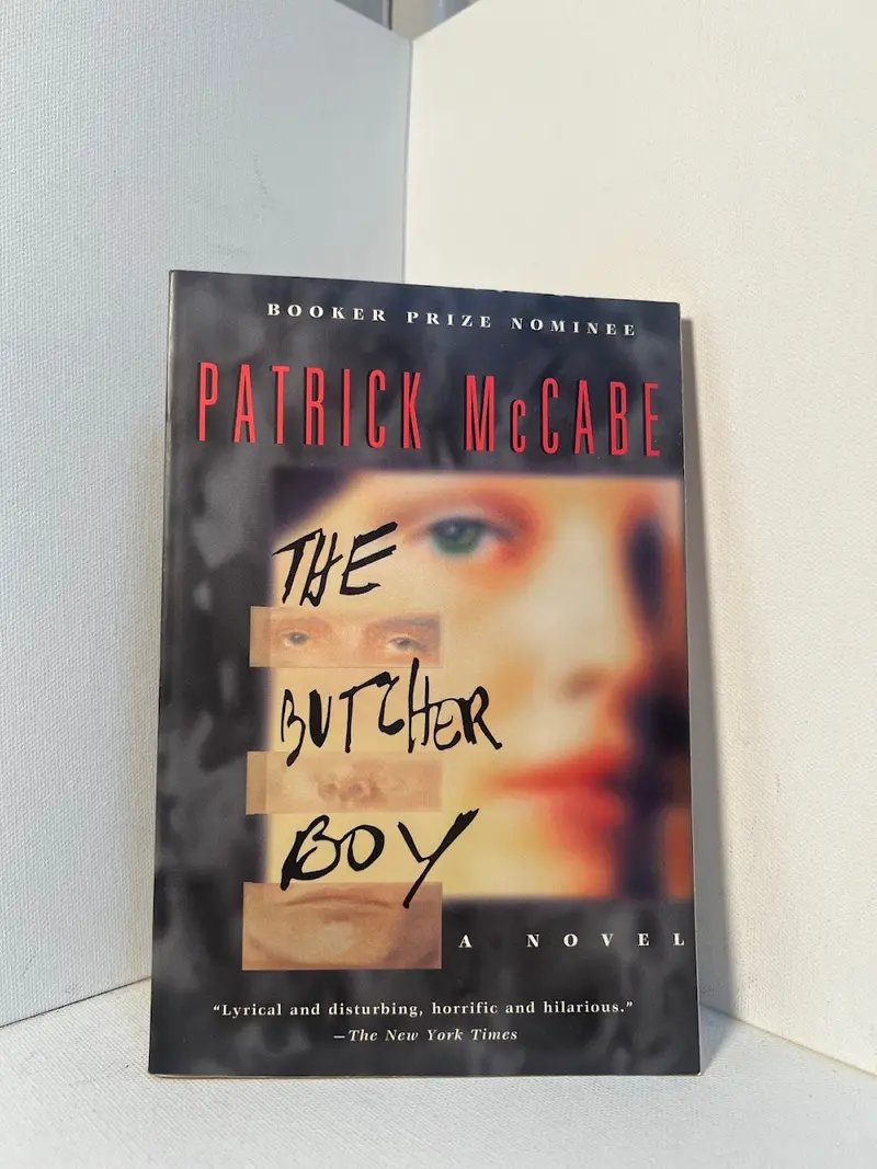 Patrick Mccabe'S The Butcher Boy: A Darkly Comic Irish Novel 1