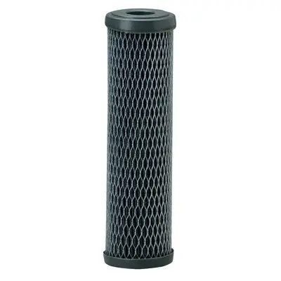 Pentair 2.5" X 10" Carbon Water Filter Cartridge (Model 155220-43) 1