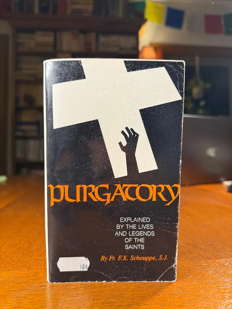 Purgatory Explained: Insights From Saints’ Lives And Catholic Tradition By Fr. F.X. Schouppe 1