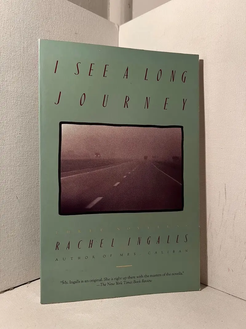 Rachel Ingalls' I See A Long Journey – Surreal Novella On Isolation And Perception 1