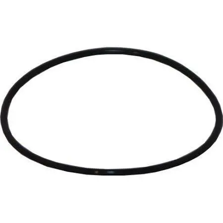 Replacement O-Ring For Proseries Ro Filter Housings 1