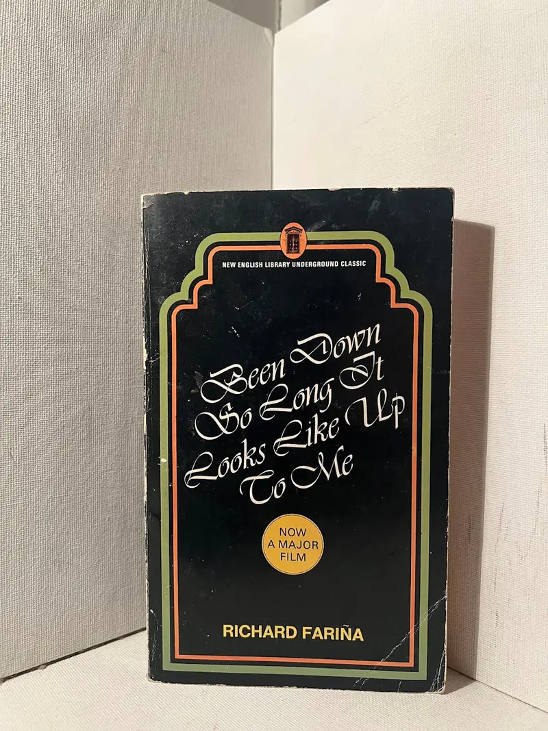 Richard Farina'S Been Down So Long It Looks Like Up To Me 1