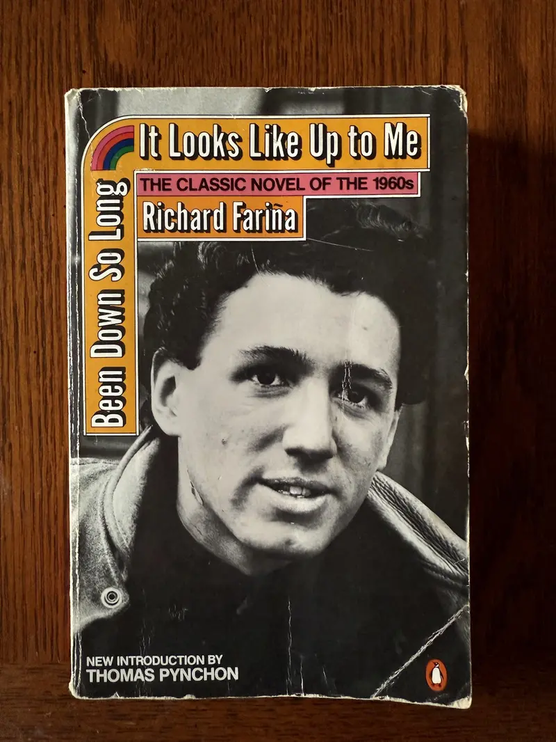 Richard Farina'S Been Down So Long It Looks Like Up To Me 1