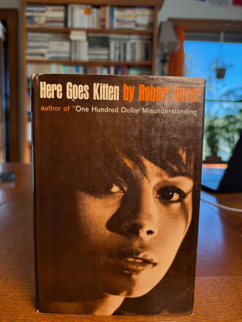 Robert Gover'S Here Goes Kitten: A Countercultural Novel 1