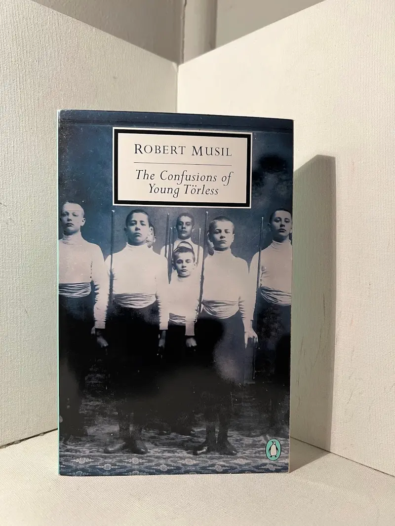 Robert Musil'S The Confusions Of Young Törless: A Psychological Novel Of Adolescence And Moral Ambiguity 1