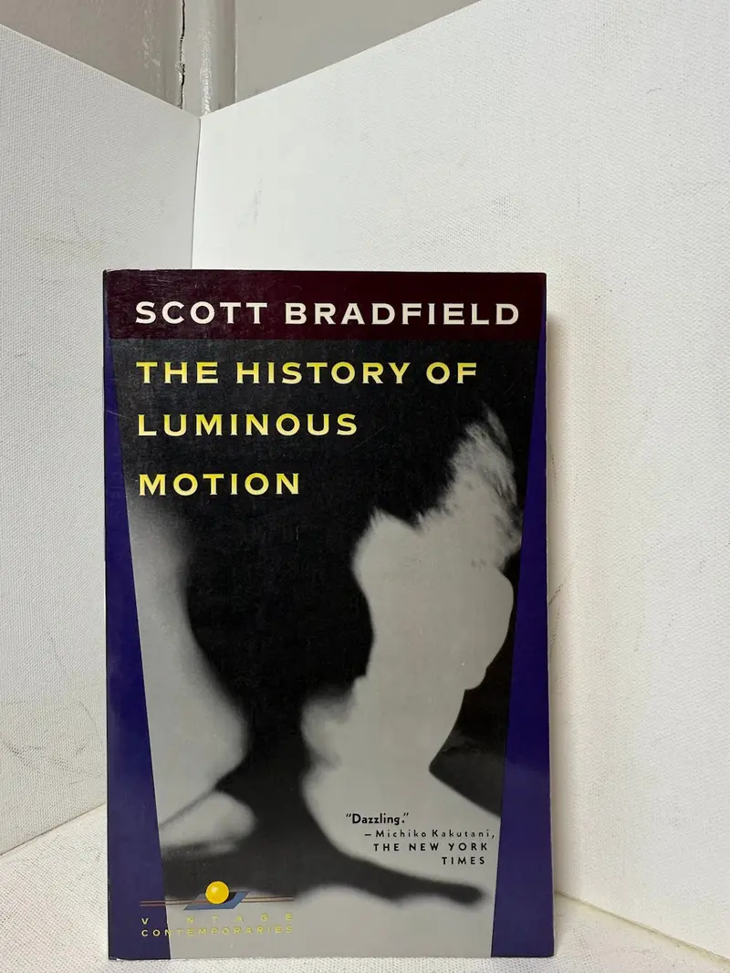 Scott Bradfield'S The History Of Luminous Motion: A Postmodern Novel 1