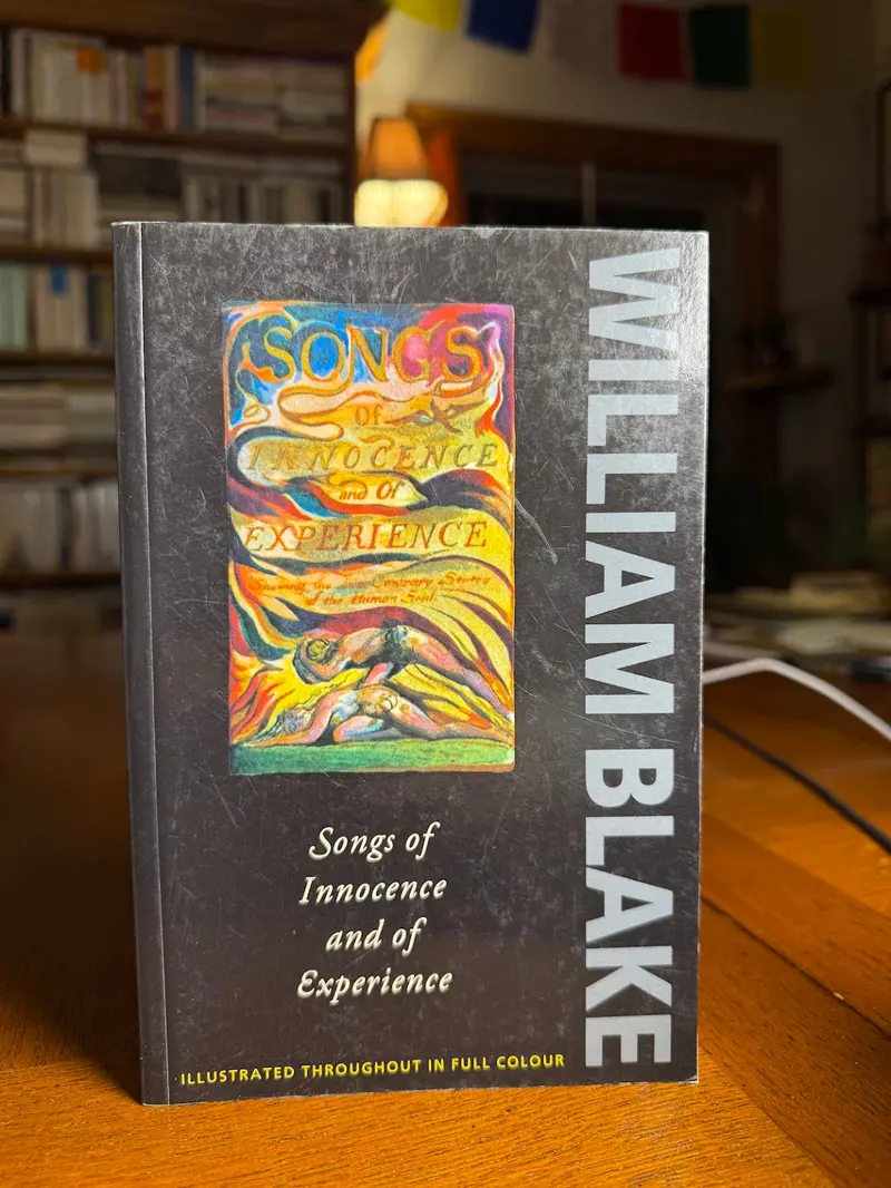 Songs Of Innocence And Experience: Illustrated Poetry Collection By William Blake 1