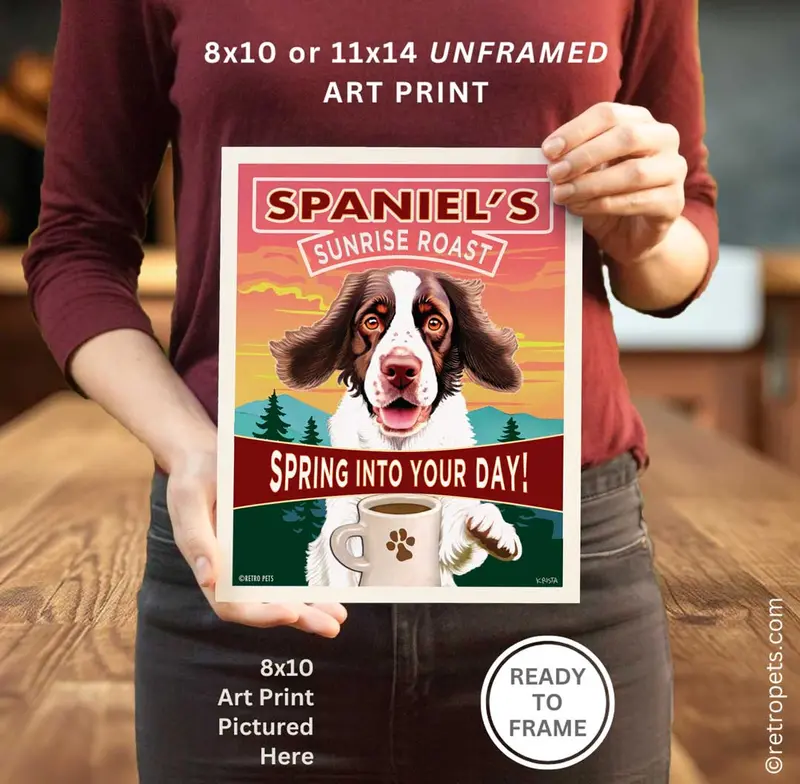 Springer Spaniel 'Spaniel'S Sunrise Roast' Art Print – Liver & White Edition 1