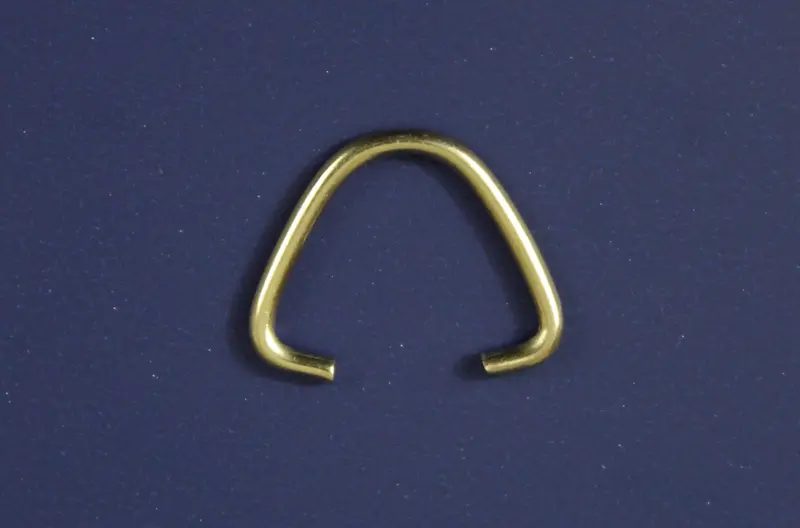 Stainless Steel D-Rings 1