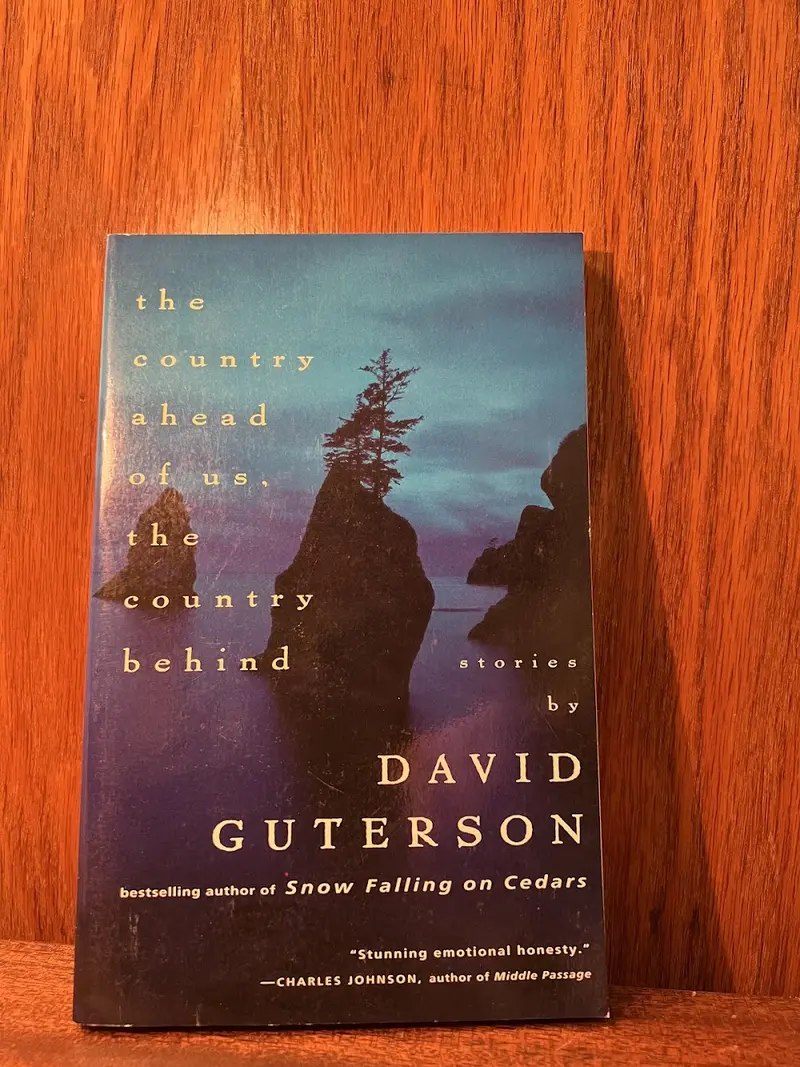 The Country Ahead Of Us, The Country Behind: Reflections On Place And Memory By David Guterson 1