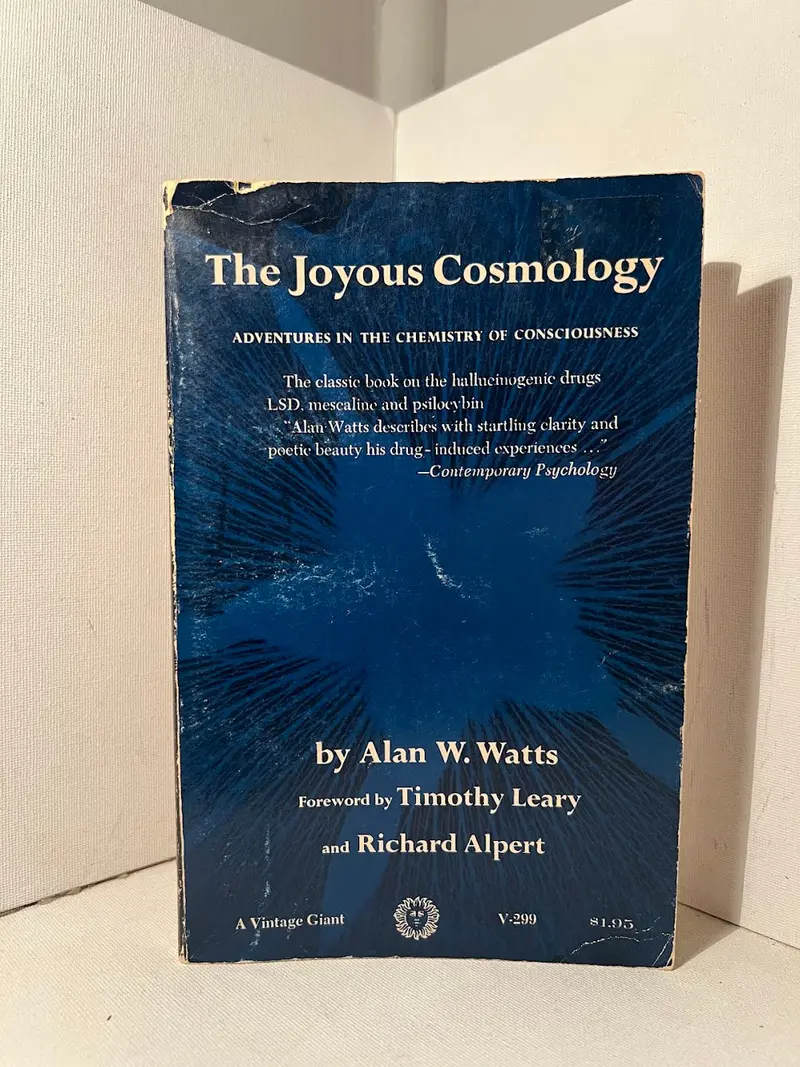 The Joyous Cosmology: Explorations In The Experience Of Consciousness By Alan Watts 1