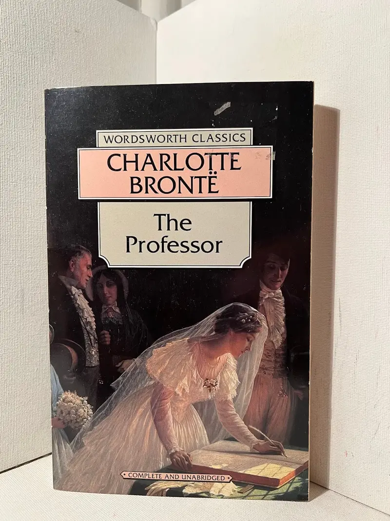 The Professor: Charlotte Brontë’S Early Novel Based On Her Brussels Experience 1