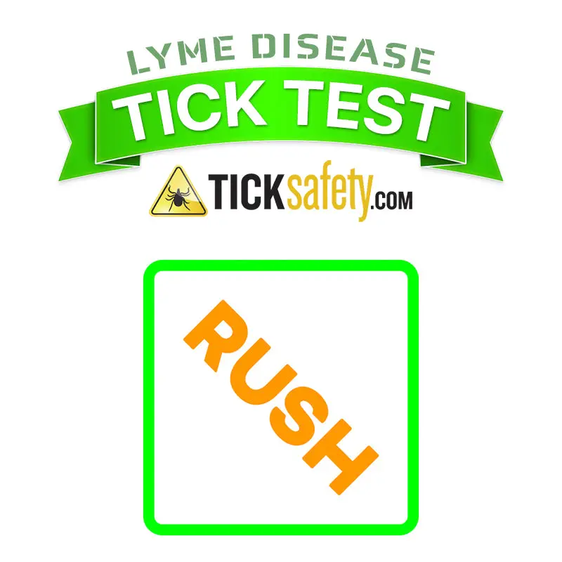 Tick & Lyme Disease Rapid Test – Rush 24-Hour Processing 1
