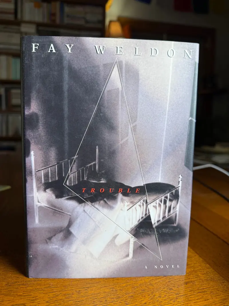 Trouble: A Satirical Novel By Fay Weldon 1