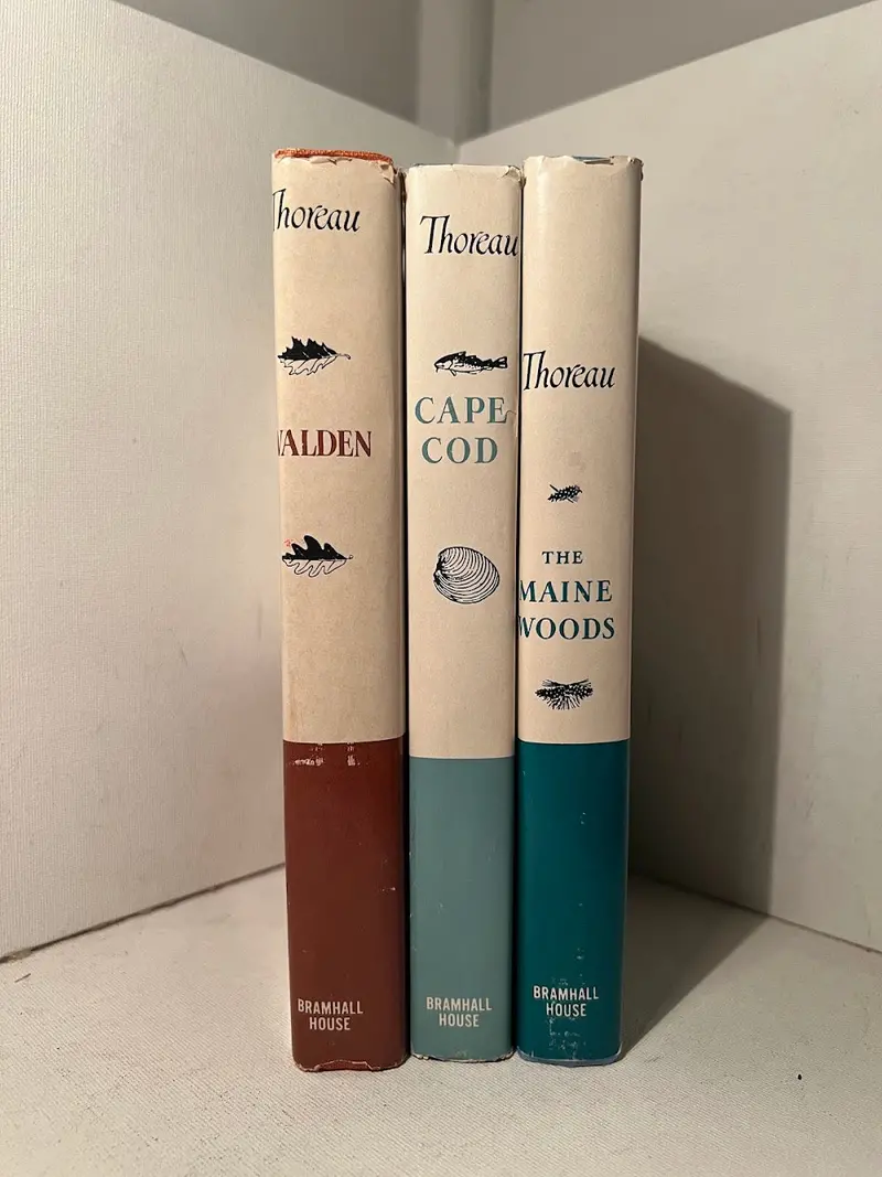 Walden, Cape Cod, And The Maine Woods: Henry David Thoreau’S Nature Writings 1
