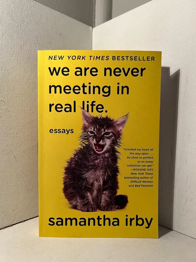 We Are Never Meeting In Real Life: Essays On Modern Isolation And Humor By Samantha Irby 1