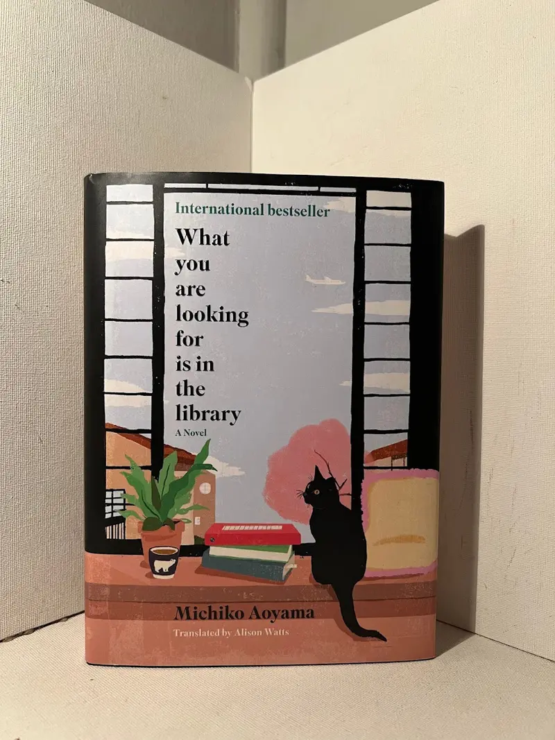 What You Are Looking For Is In The Library: Michiko Aoyama'S Uplifting Fiction 1