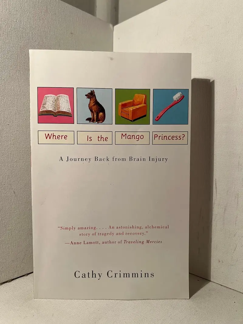 Where Is The Mango Princess?: A True Story Of Malpractice And Recovery By Cathy Crimmins 1