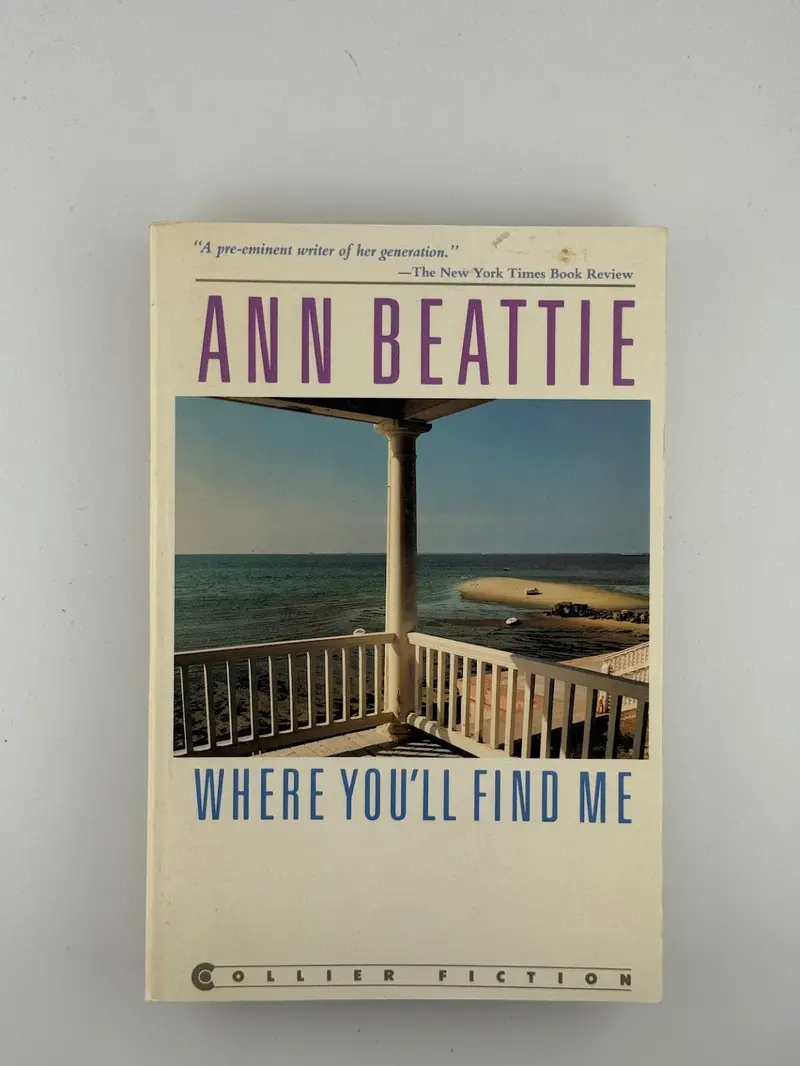 Where You’Ll Find Me: Stories Of Dislocation And Connection By Ann Beattie 1